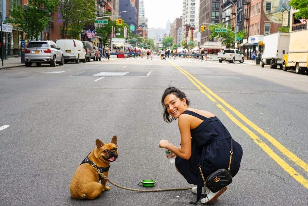 #1 French Bulldogs Frenzy: The Complete Guide to Bringing Home Your Furry Friend
