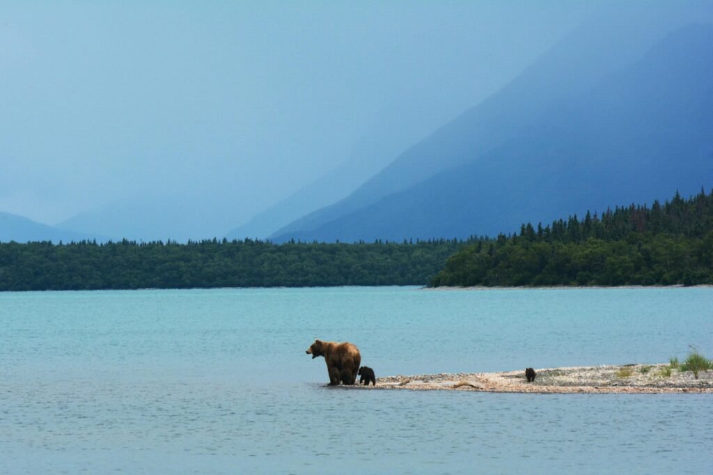 Alaska In September