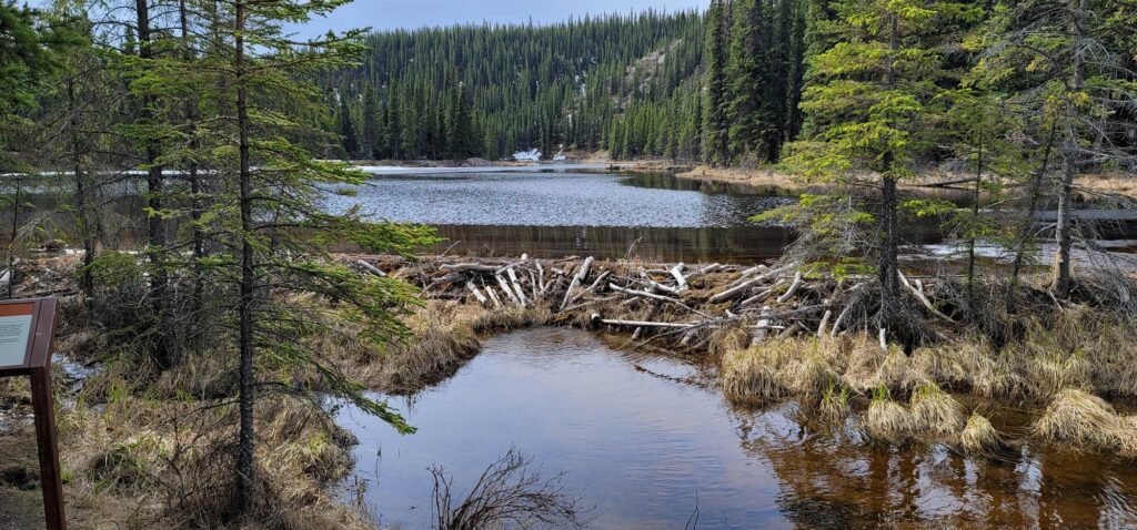 Alaska In September