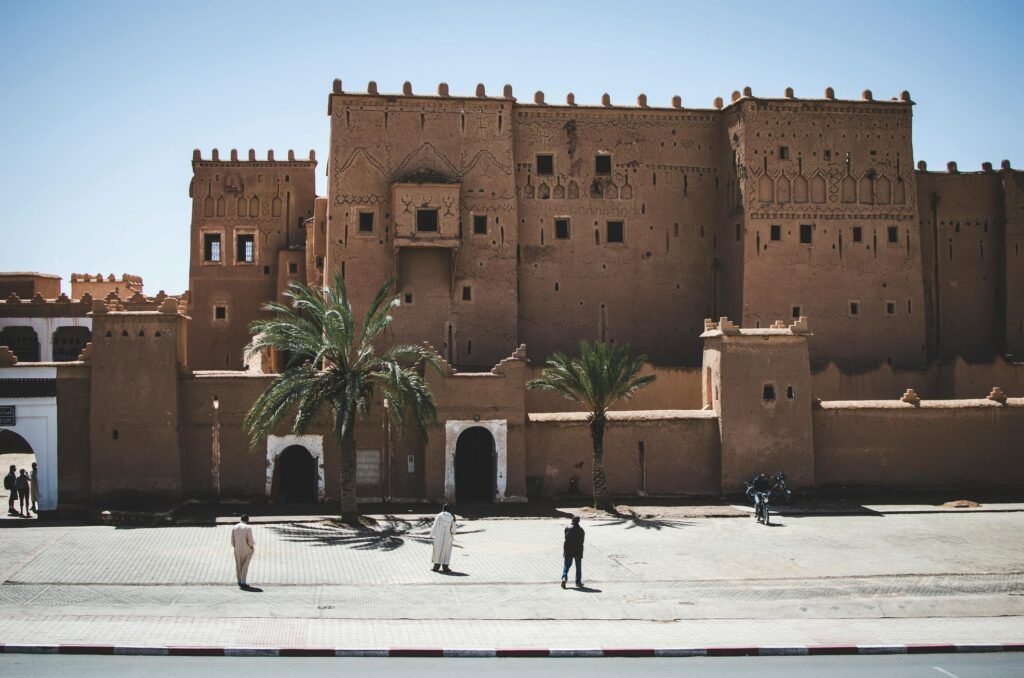 Olive Oil from Morocco