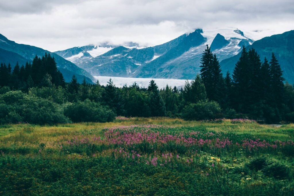 Alaska On Summer