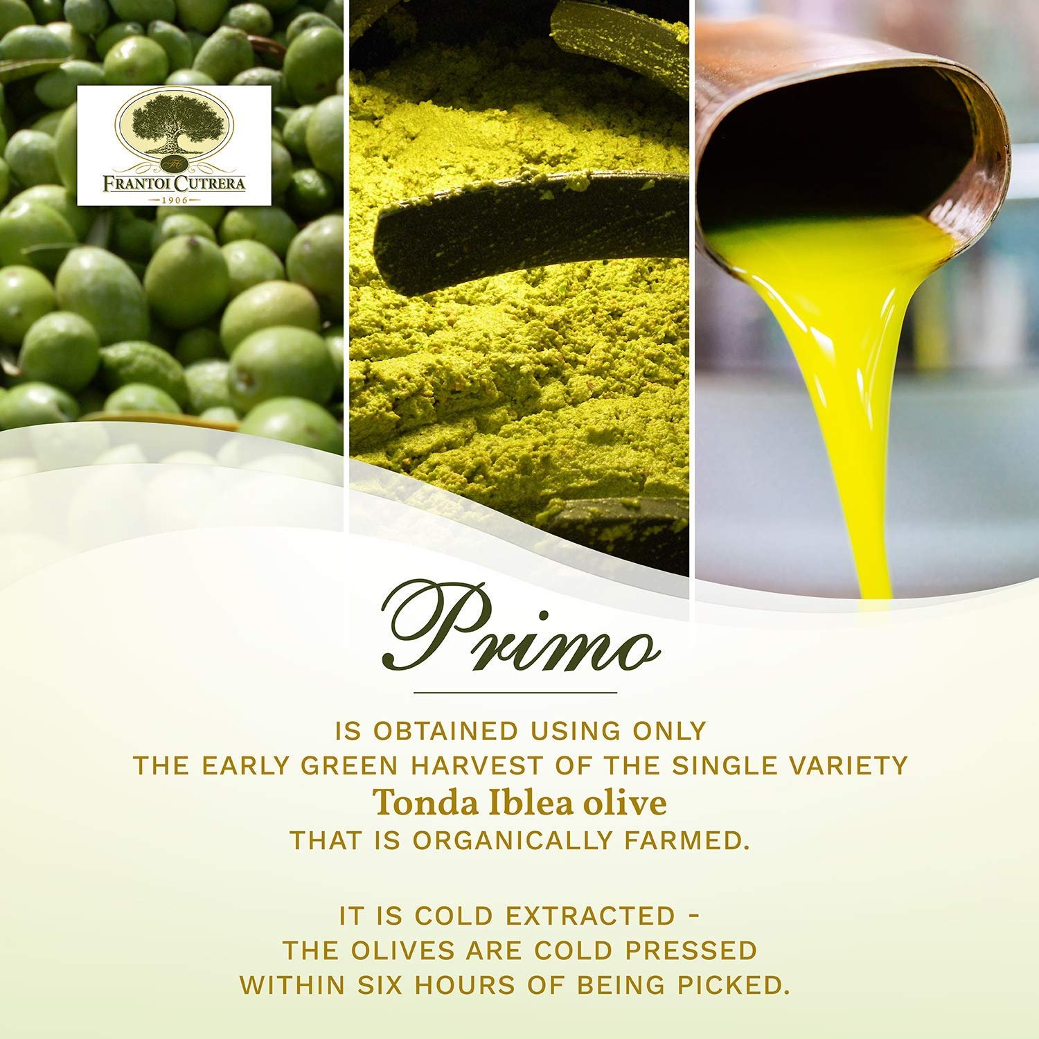 Authentic olive oil from Italy