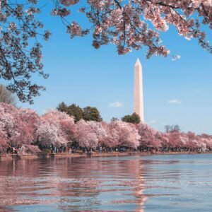 Best Places to Visit in April in the USA