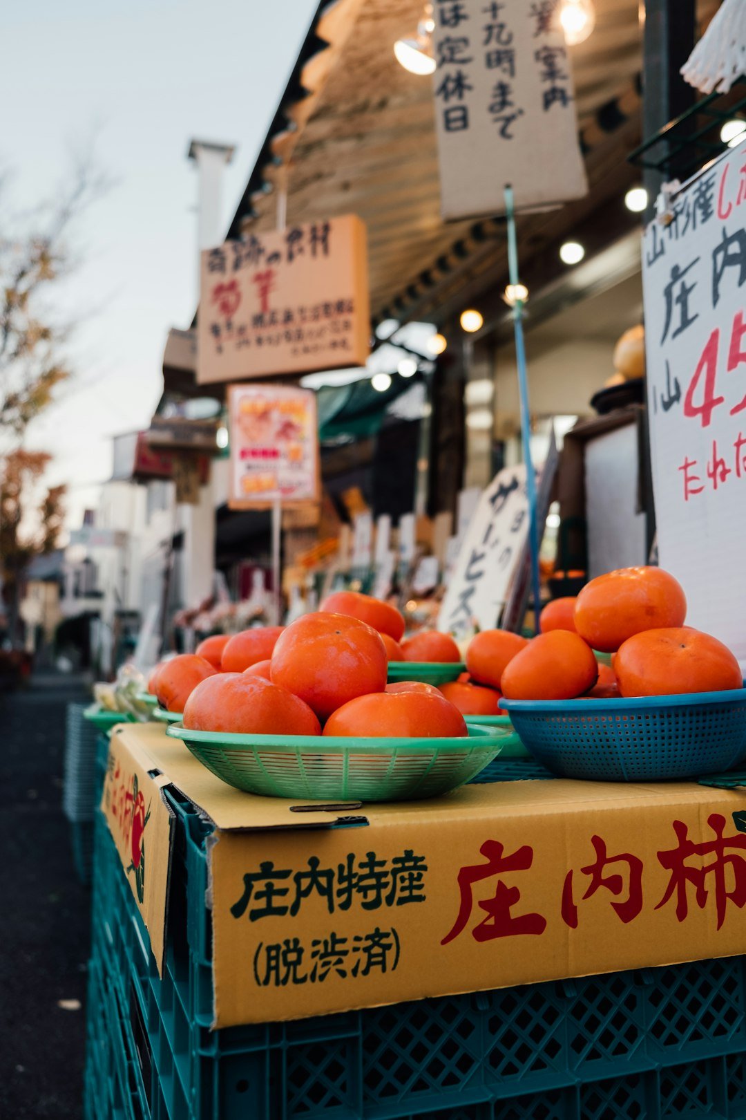 Persimmons