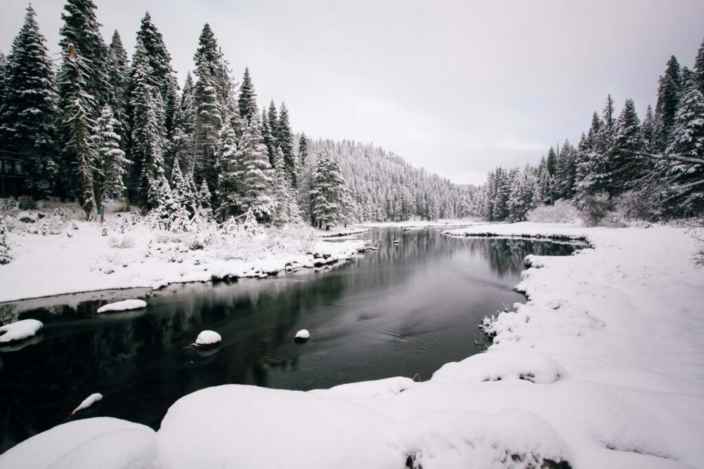 Activities In Lake Tahoe Winter