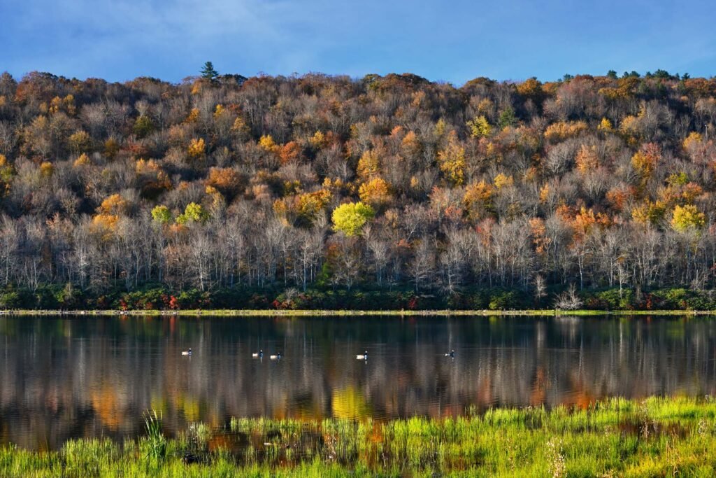 Activities In The Poconos Winter