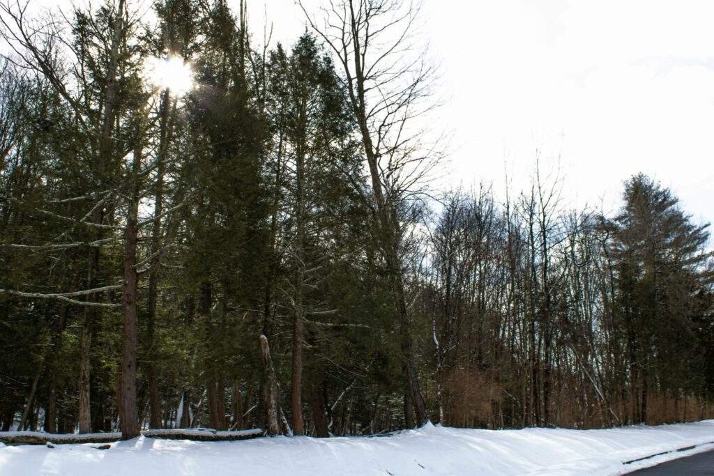 Activities in the Poconos Winter: A Complete Guide to Cold-Weather Fun