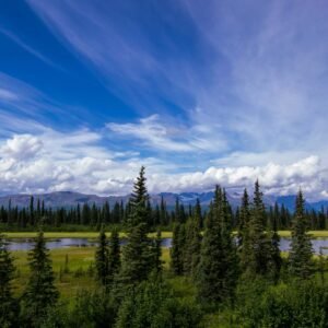 Alaska in July: The Ultimate Summer Adventure