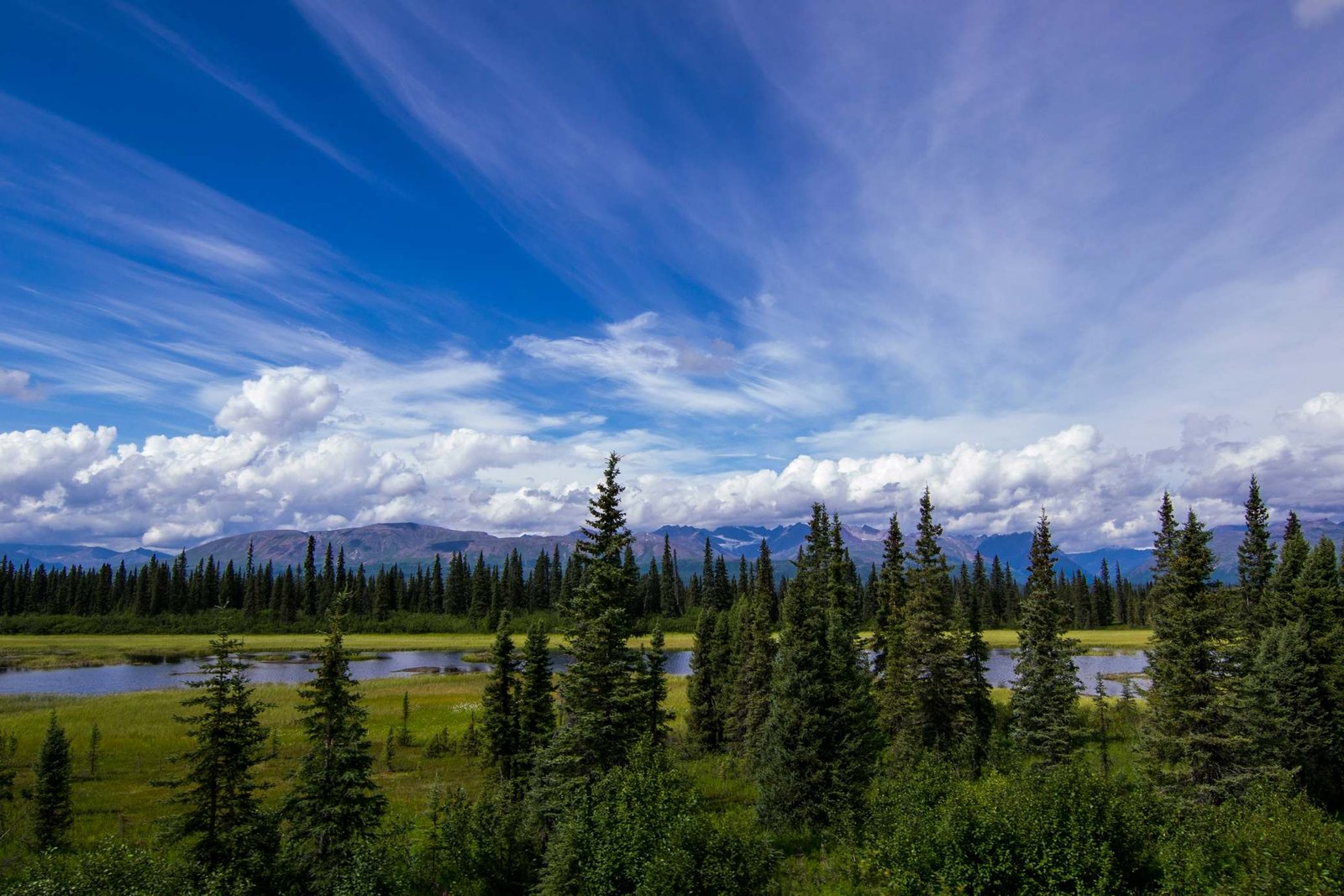 Read more about the article Alaska in July: The Ultimate Summer Adventure