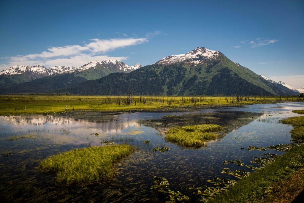 Alaska In July