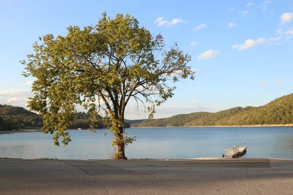 Best Hiking Trails in Arkansas: A Comprehensive Guide