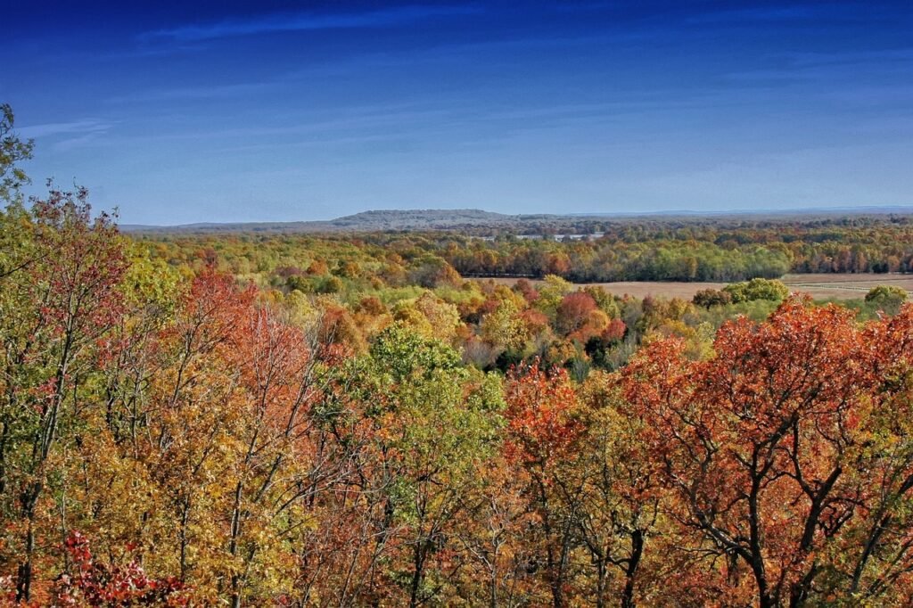 Best Hiking Trails In Arkansas