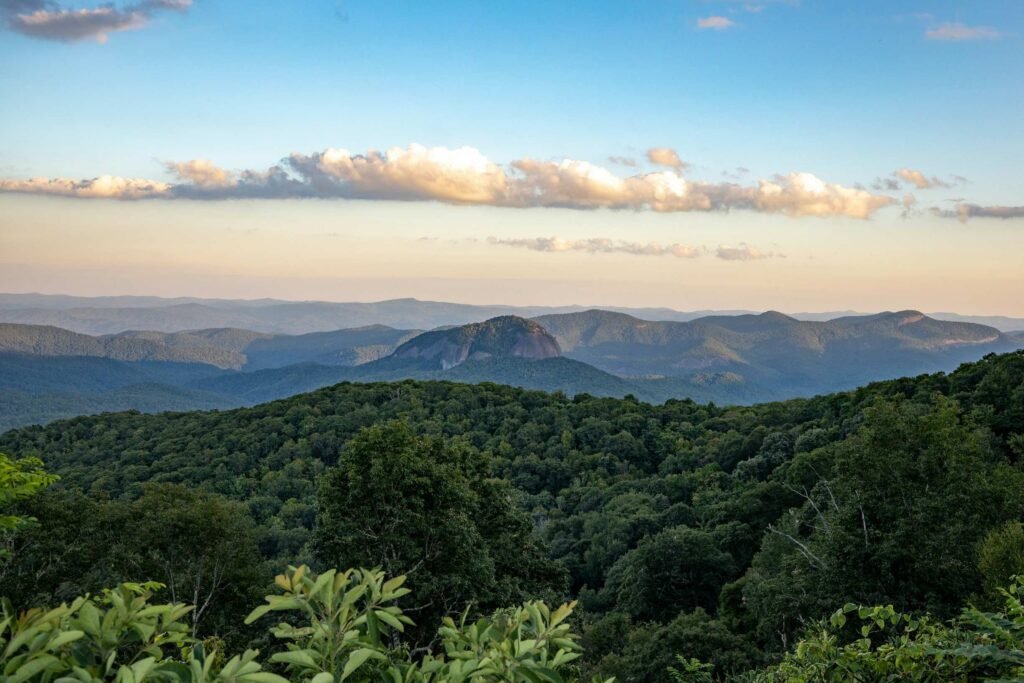 Unique Places To Stay In Asheville Nc