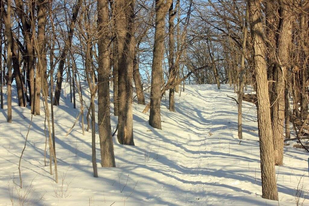 Best Hiking Trails in Minnesota
