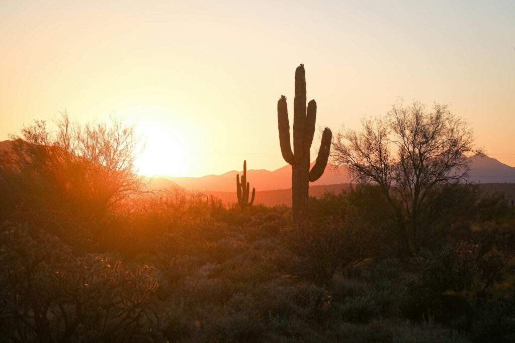 Best Hiking Trails in Phoenix: A Comprehensive Guide
