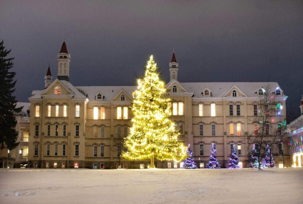 Traverse City Activities In Winter: A Complete Guide to Cold-Weather Fun