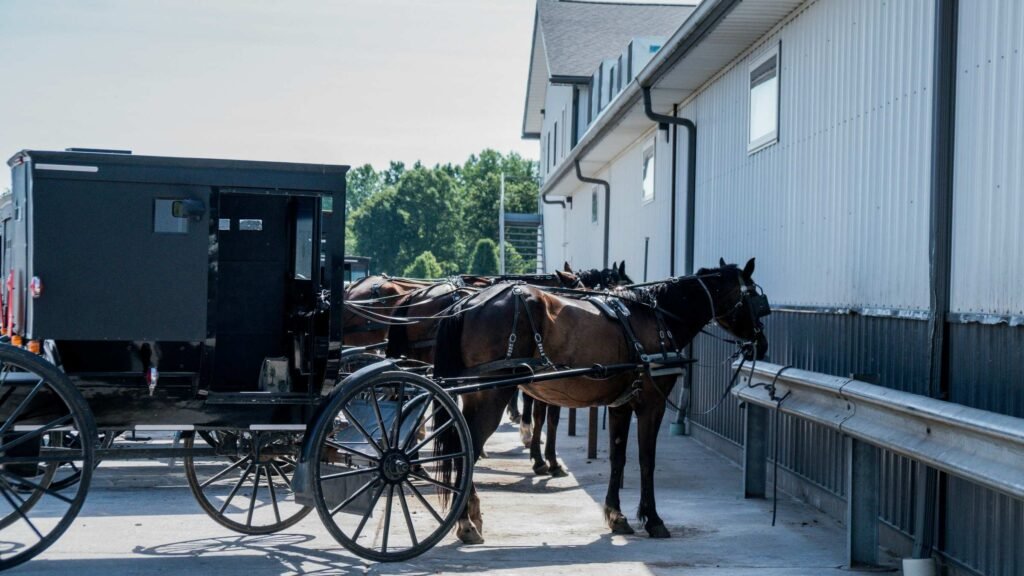 Unique Places To Stay In Amish Country Ohio