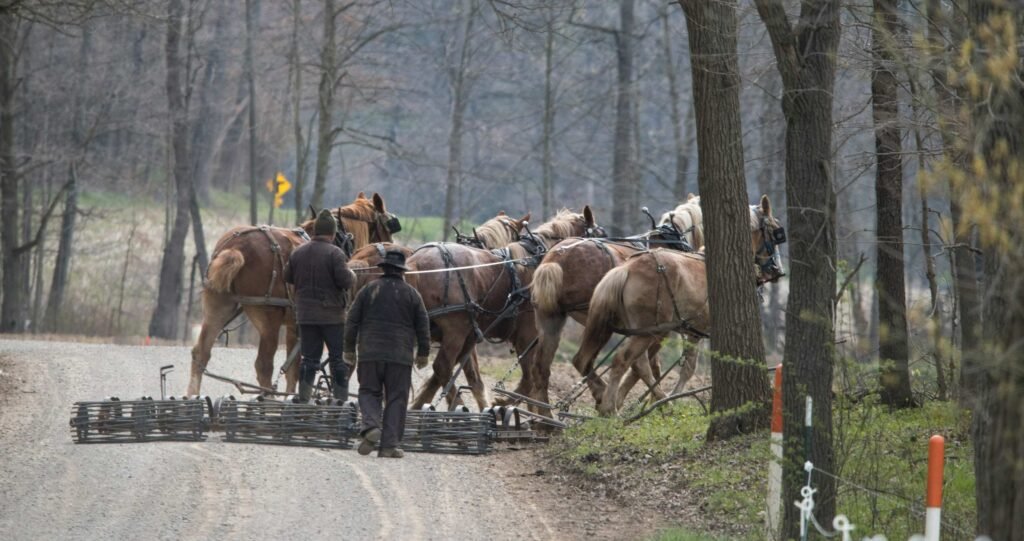 Unique Places To Stay In Amish Country Ohio