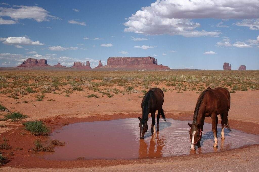 Unique Places to Stay in Arizona: Unforgettable Accommodations in the Grand Canyon State
