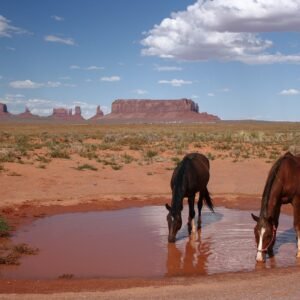 Unique Places to Stay in Arizona: Unforgettable Accommodations in the Grand Canyon State