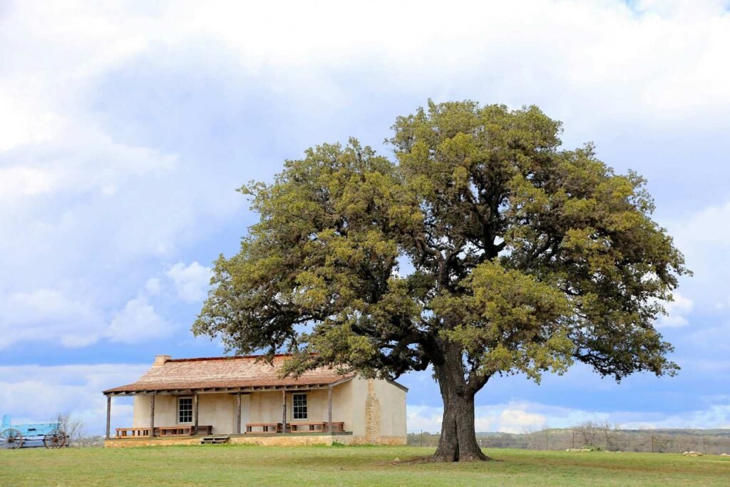 Unique Places To Stay In Fredericksburg Tx