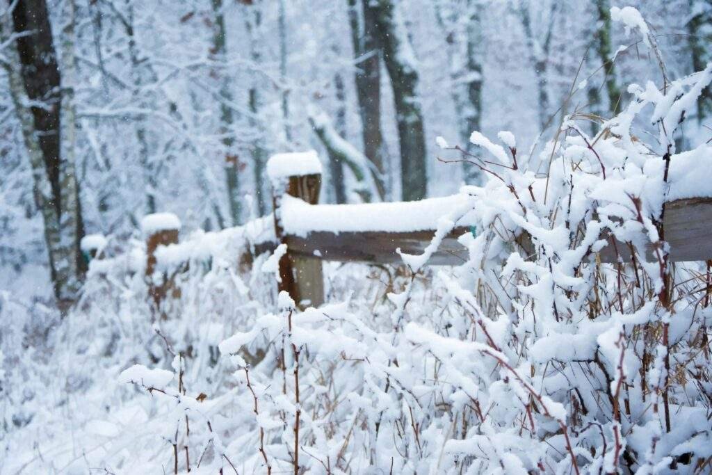 Winter Activities in Minnesota: A Comprehensive Guide to Embracing the Cold