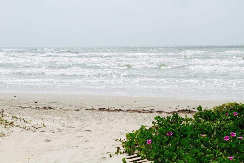 Affordable Hotels in Corpus Christi TX: Your Ultimate Guide to Budget-Friendly Accommodations