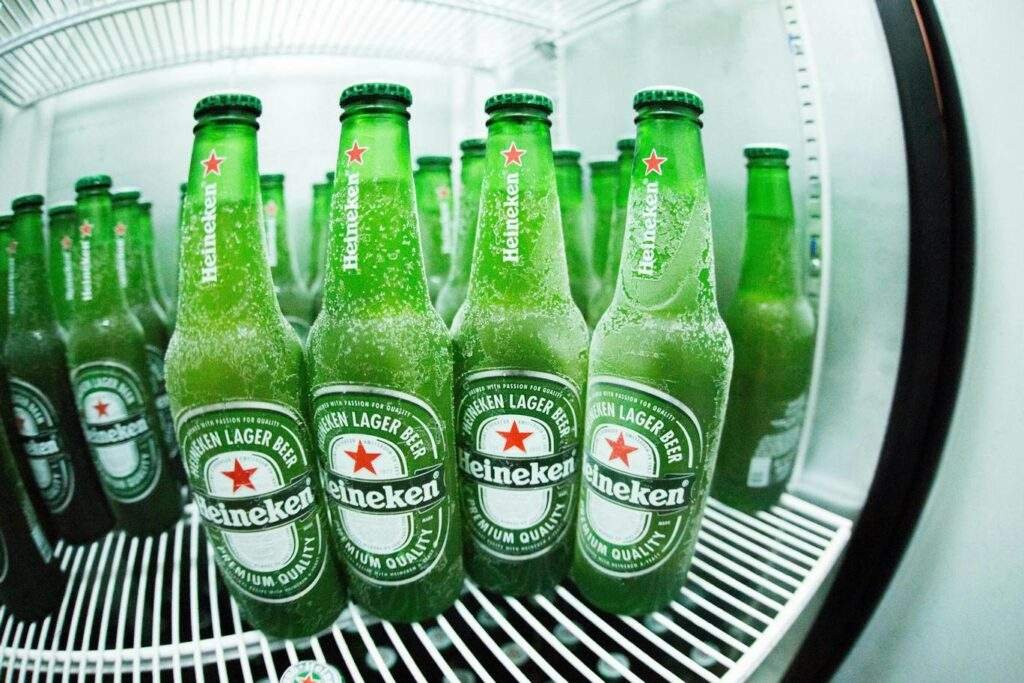 Discover the Best 12 Volt Fridge Freezer for Every Adventure