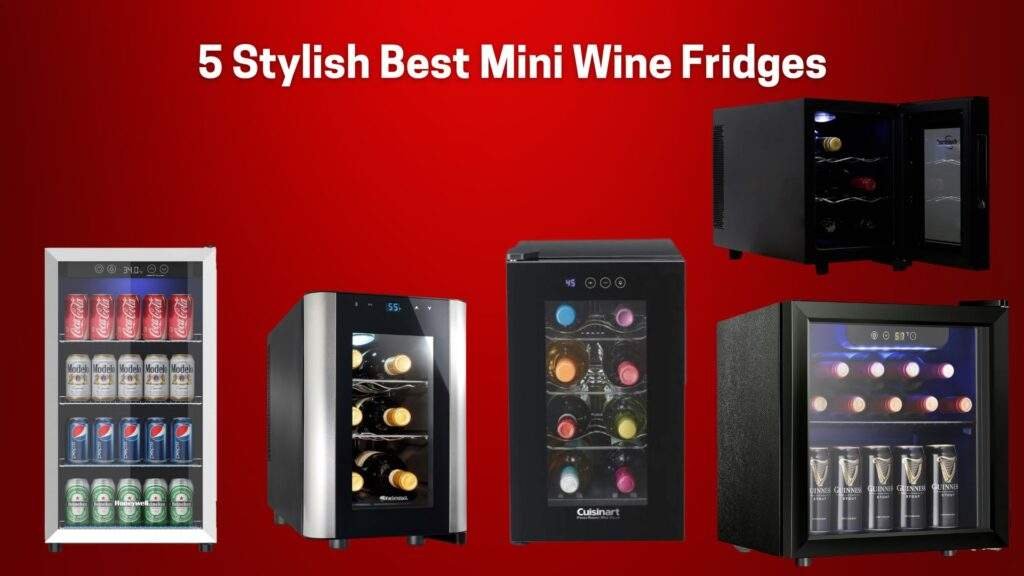5 Stylish Best Mini Wine Fridges for Your Home