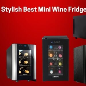 5 Stylish Best Mini Wine Fridges for Your Home